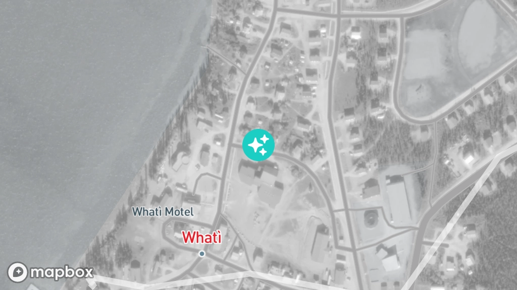 A satellite image of a tree located near the centre of Whatì.