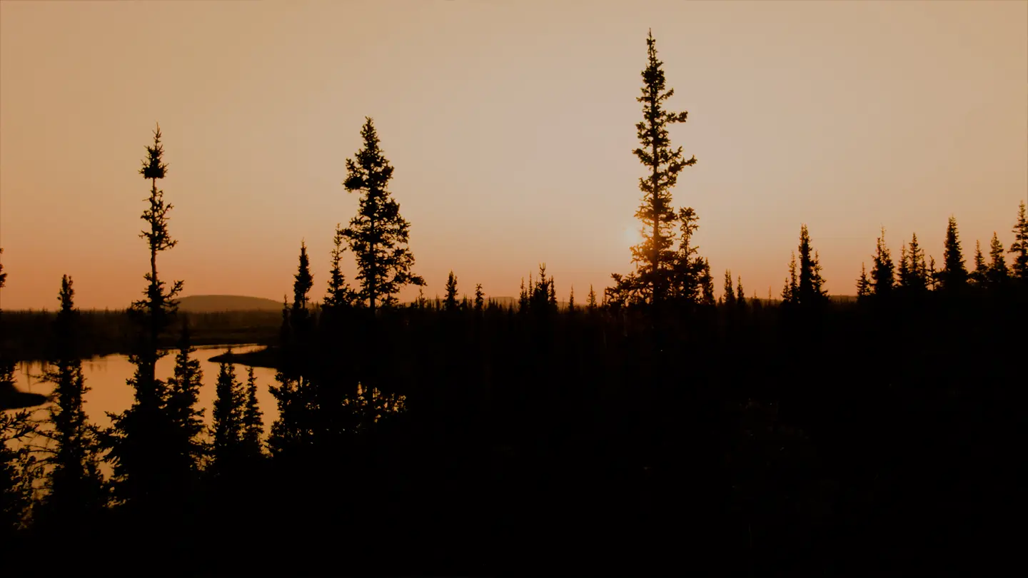 The Rivière La Martre winds its way through tall grasses surrounded by tall conifer trees.